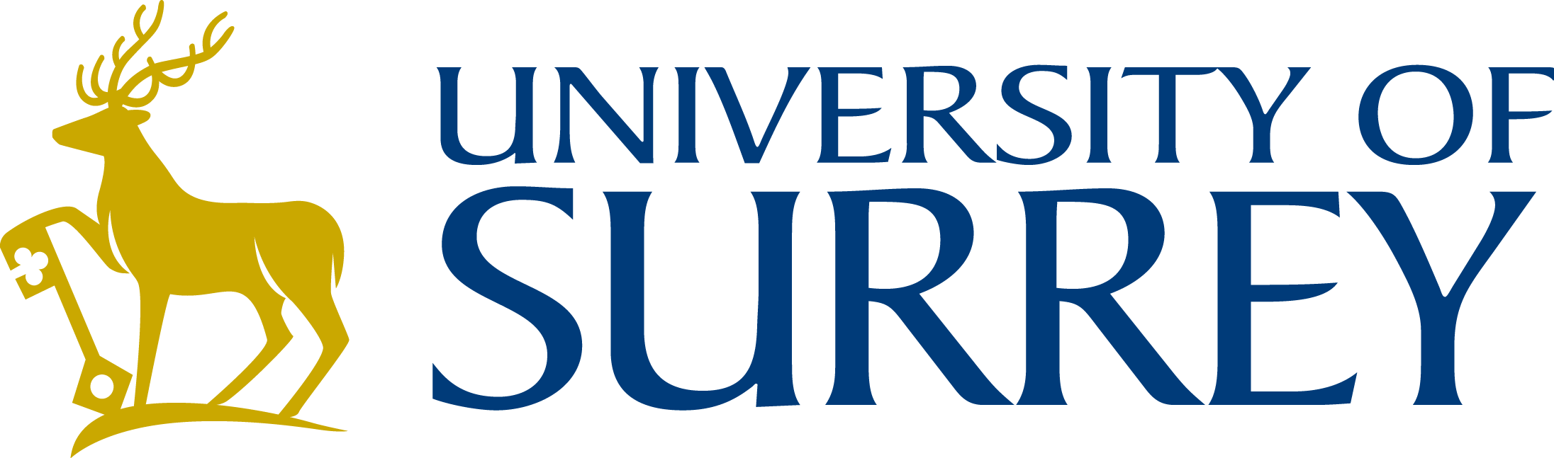 University of Surrey